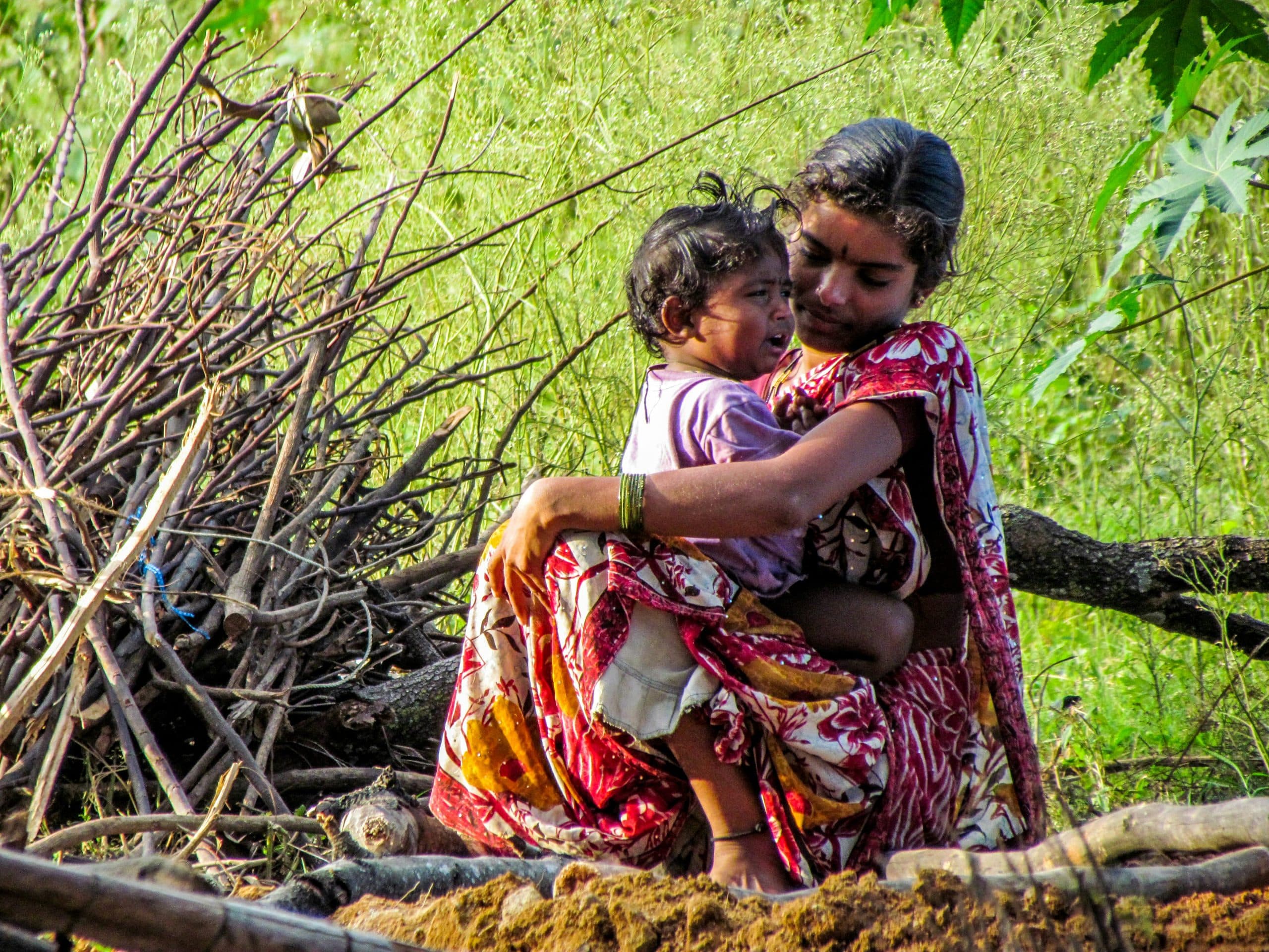 ms agri trust home page