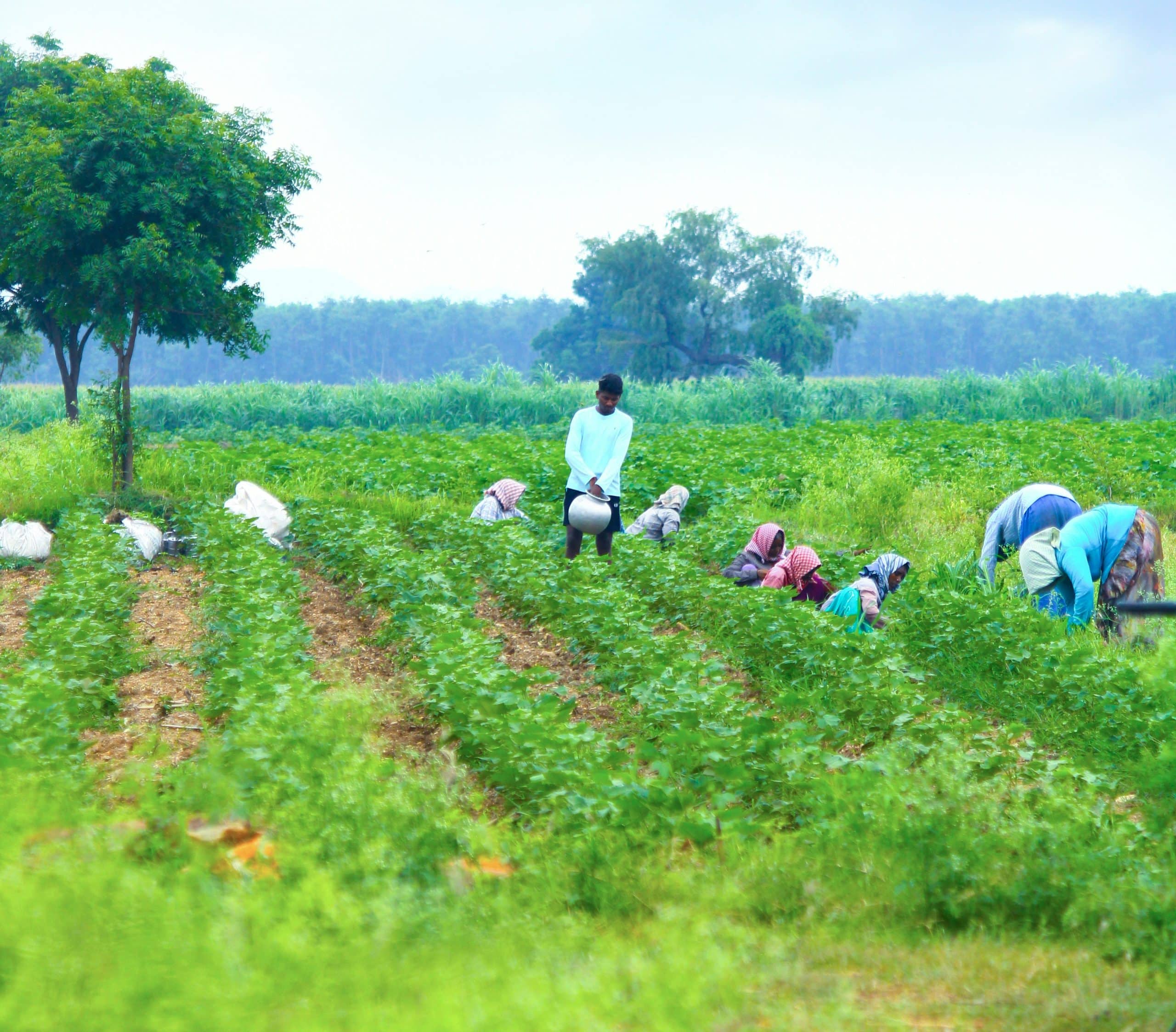 ms-agr-trust-stronger-future for-farmers